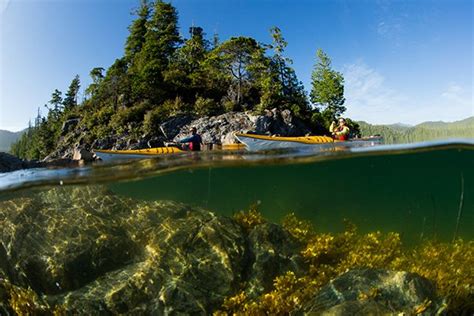 Tofino Campgrounds and Tofino Camping Information | Vancouver Island