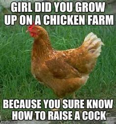 chicken memes on Pinterest