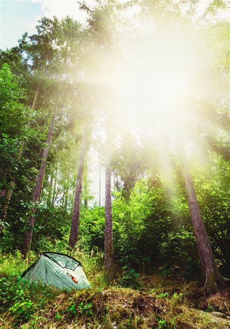 Camping Tent in a Forest, Summer Campsite, Adventure Family Vacation ...