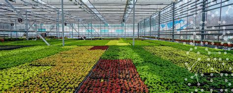 Smart greenhouses and controlled environment agriculture - The Agrotech ...