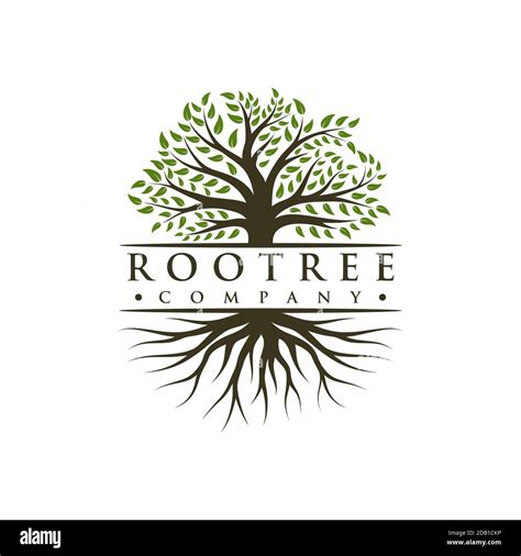 Vibrant tree logo design, tree and root vector. Tree of life logo design inspiration Stock ...