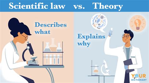 Whats The Difference Between A Scientific Law And Theory In Ted Ed | Images and Photos finder