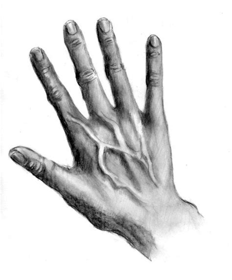 Диалоги | Realistic drawings, How to draw hands, Online drawing