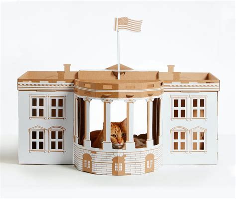 10 Unusual Cardboard Cat Playhouses – Design Swan