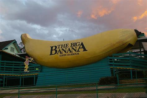 The BIG Banana | "The Big Banana" The Big Banana Plantation,… | Flickr