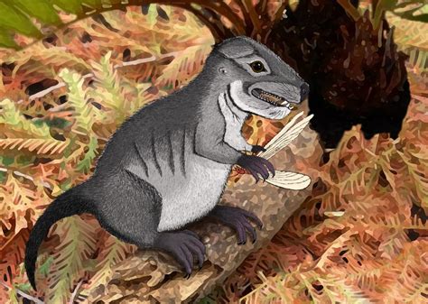 New species of ancient cynodont, 220 million years old, discovered