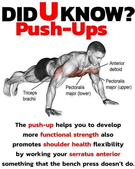 Why the push up? What can it really do? When you're ready to build strength and develop a tight ...