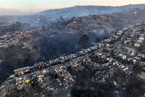 Incendios en Chile: monocultivos forestales e industria inmobiliaria