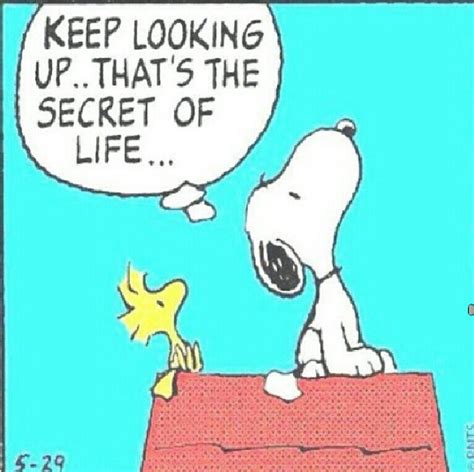 Keep looking up.. that's the secret to life -- Snoopy Secret Life, The Secret, Keep Looking Up ...