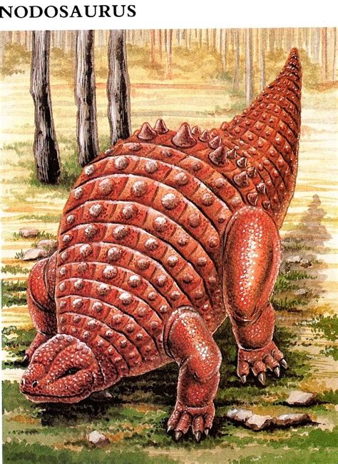 Nodosaurus Pictures & Facts - The Dinosaur Database