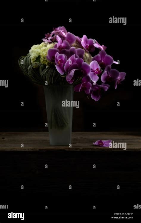 Purple Orchid Bouquet Stock Photo - Alamy