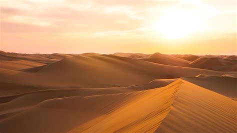 The Arabian Desert - WorldAtlas