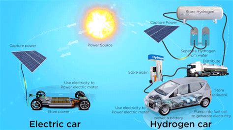 The Hydrogen Generator Market's Path to Sustainable Growth