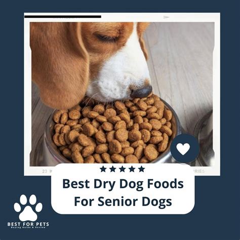 The 11 Best Dry Dog Foods For Senior Dogs of 2023