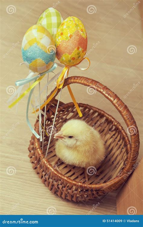 Easter chicken basket stock image. Image of background - 51414009