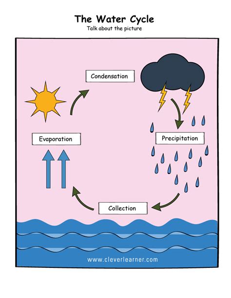 Printable water cycle worksheets for preschools | Water cycle for kids, Water cycle, Cycle for kids