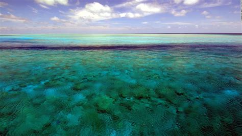 Tropical reef fish, 81, is the oldest ever discovered by scientists - CNN