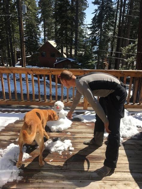 The Best Pet Friendly Hotels in Lake Tahoe