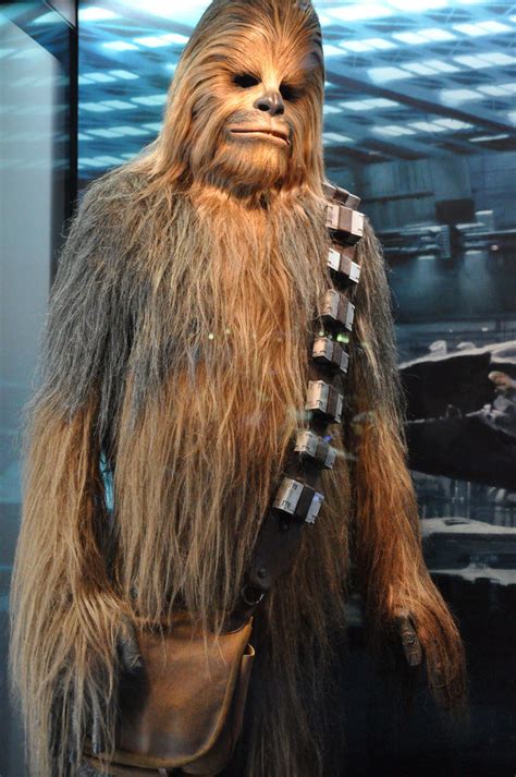 Chewbacca von Star Wars - Creative Commons Bilder