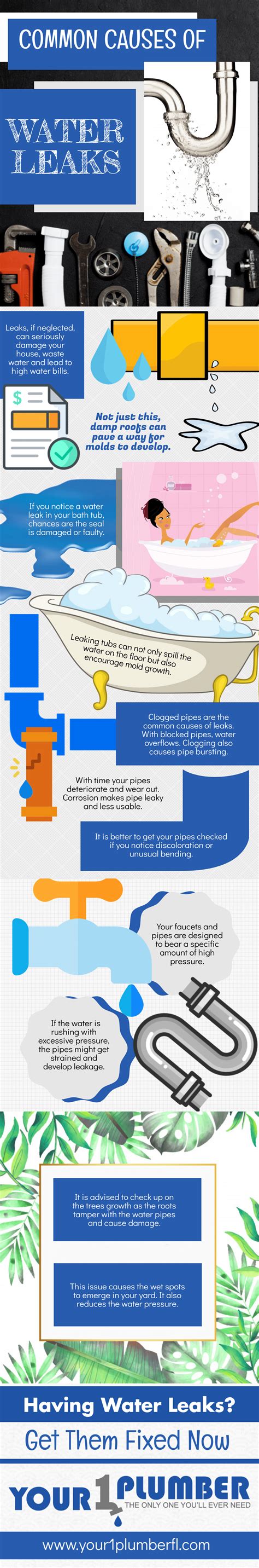 Common Causes of Water Leaks – Infographic | Blog | Your 1 Plumber FL