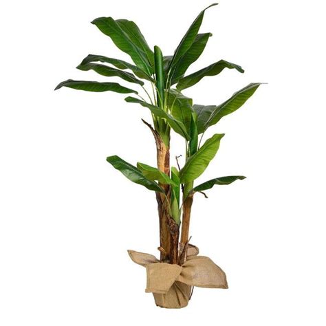 60"H Banana Tree Artificial Indoor/ Outdoor Faux D?cor with Burlap Kit By Minx NY - Walmart.com ...