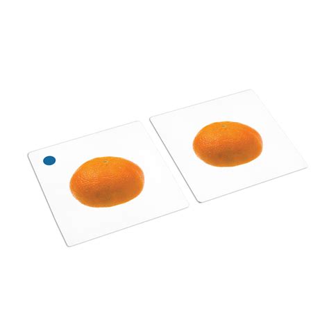 Fruit Matching Cards | Toddler | ETC Montessori