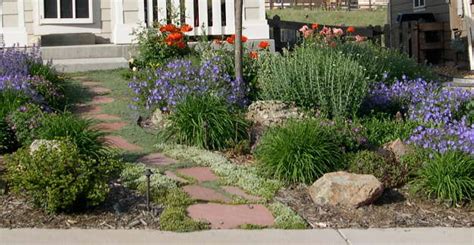 Xeriscape Plants - The Sustainable Landscape of the Future is Here