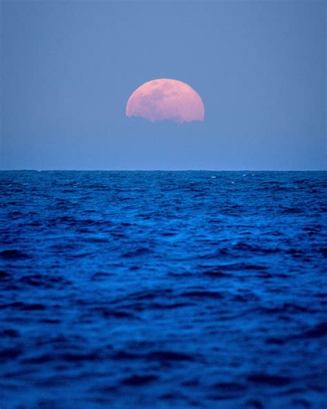 Took the family out to watch the full moon rise over the Atlantic : r ...