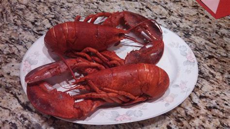 Perfect cooked Lobster | How to cook lobster, Cooking, Lobster