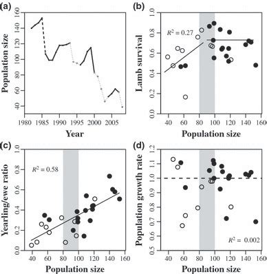 Population dynamics of Bighorn sheep at Sheep River, Canada. (a) Number ...