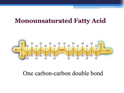 Fatty acids and triglycerides | PPT