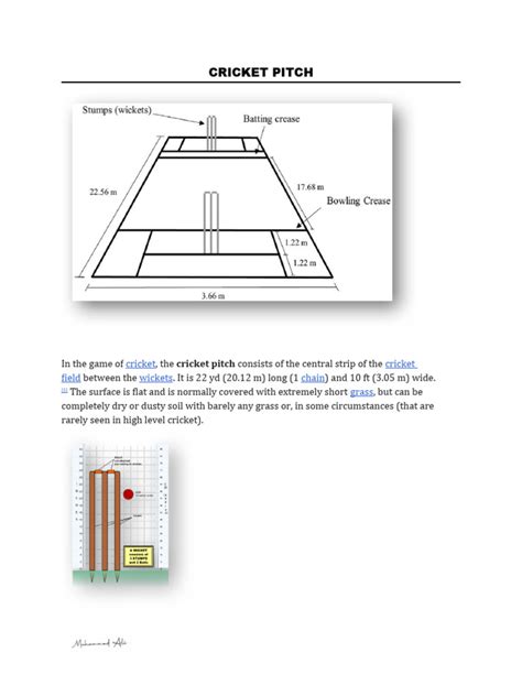 Cricket Pitch | PDF