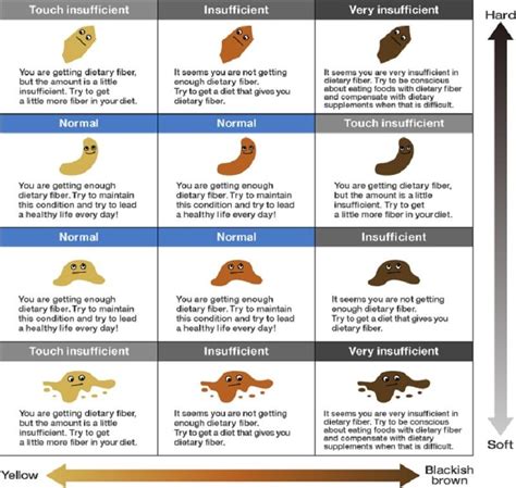 this is what the color and smell of your p00p tell about your health - taylor amandas | diarrhea ...