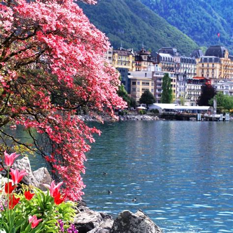 Montreux and Lake Geneva, Switzerland. — Stock Photo © felker #29220525