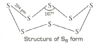 Draw the structure of S8 molecule