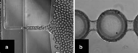 Experimental droplet microfluidic system with detecting microspheres. a... | Download Scientific ...