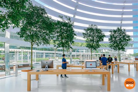 Apple Marina Bay opens on Sept 10 — here's what it's like inside the world's first floating ...