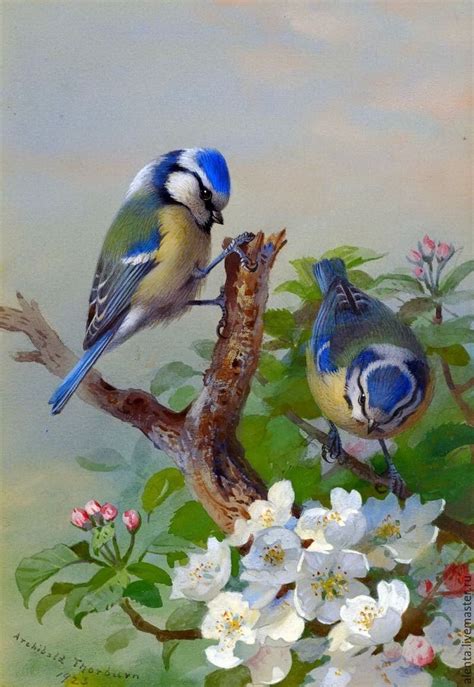 Pin by Elaina on Birds | Bird art, Birds painting, Beautiful birds