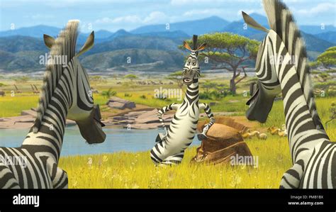 Marty the zebra hi-res stock photography and images - Alamy