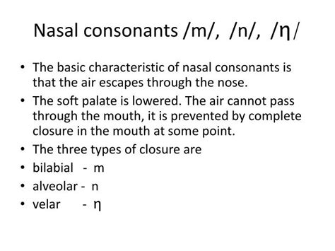 PPT - Nasal consonants /m/, /n/, / η / PowerPoint Presentation, free ...