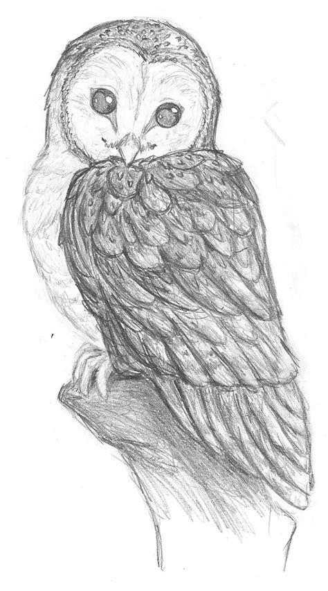 pegasusqueen barn owl pencil by the-snow-fox on deviantART | Animal ...