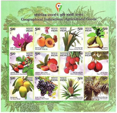 Mahaphilla India 2023 Geographical Indications : Agricultural Goods ...