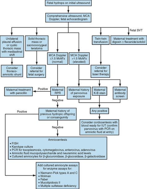 ULTRASOUND EVALUATION OF HYDROPS FETALIS | Radiology Key