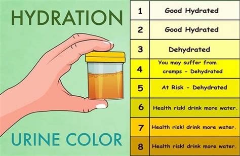 Urine Color Health:What Your Urine Color Says About Your Health