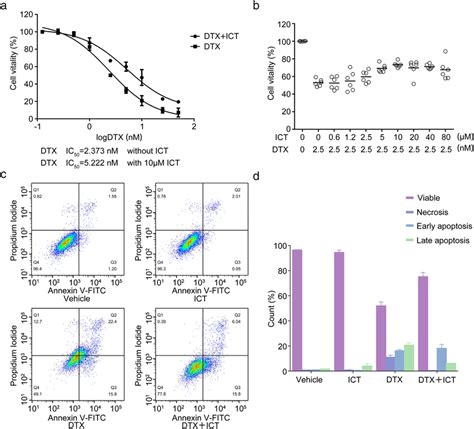 ICT increases viability and decreases apoptosis of HaCaT cells induced ...