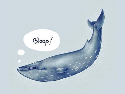 Bloop by techjulie on Dribbble