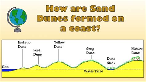 How are Sand Dunes formed on a coast? - Labelled diagram and ...