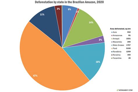 Amazon deforestation tops 11,000 sq km in Brazil, reaching 12-year high