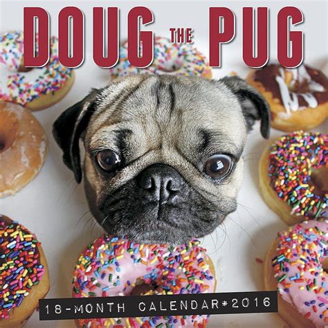 Doug the Pug 2016 Wall Calendar: Doug the Pug, Leslie Mosier HD phone ...