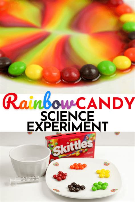 Easy, Exciting Skittles Rainbow Experiment for Kids